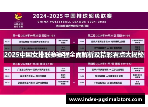 2025中国女排联赛赛程全面解析及精彩看点大揭秘