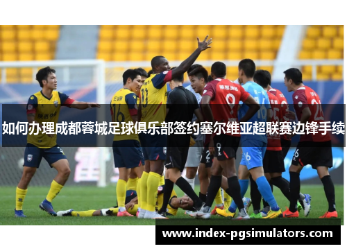 如何办理成都蓉城足球俱乐部签约塞尔维亚超联赛边锋手续
