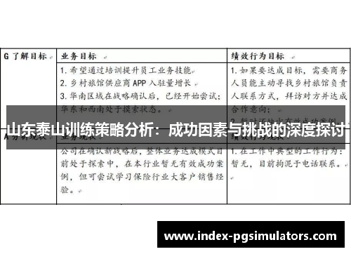 山东泰山训练策略分析：成功因素与挑战的深度探讨