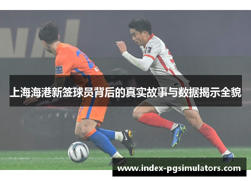 上海海港新签球员背后的真实故事与数据揭示全貌