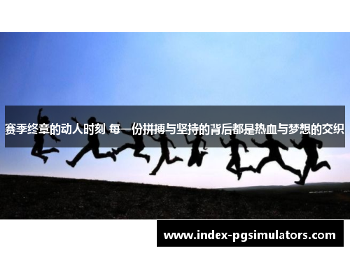 赛季终章的动人时刻 每一份拼搏与坚持的背后都是热血与梦想的交织