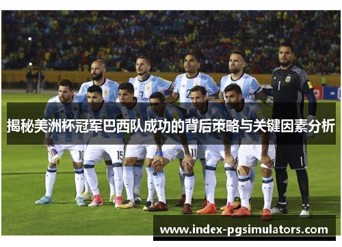 揭秘美洲杯冠军巴西队成功的背后策略与关键因素分析