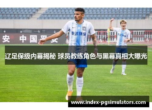 辽足保级内幕揭秘 球员教练角色与黑幕真相大曝光