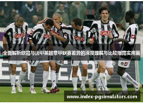 全面解析欧冠与法甲英超意甲联赛差异的深度理解与比较指南实用篇
