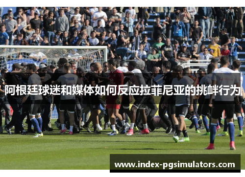 阿根廷球迷和媒体如何反应拉菲尼亚的挑衅行为