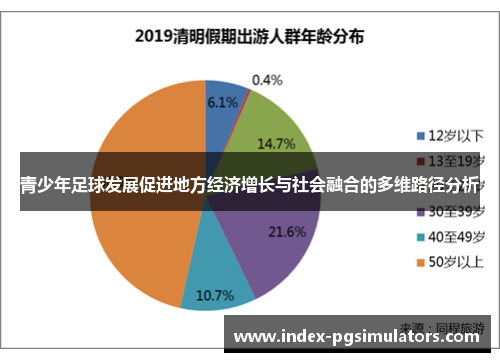 青少年足球发展促进地方经济增长与社会融合的多维路径分析