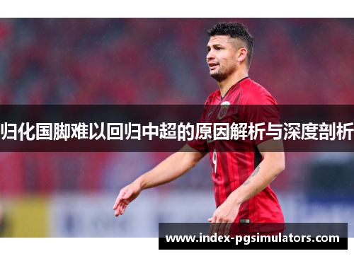 归化国脚难以回归中超的原因解析与深度剖析
