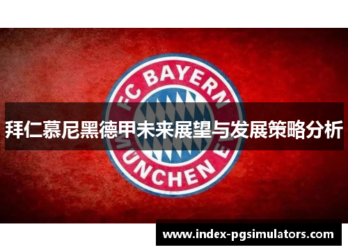 拜仁慕尼黑德甲未来展望与发展策略分析