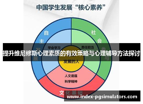 提升维尼修斯心理素质的有效策略与心理辅导方法探讨