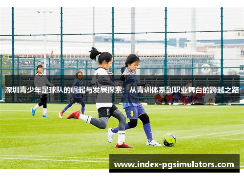 深圳青少年足球队的崛起与发展探索：从青训体系到职业舞台的跨越之路