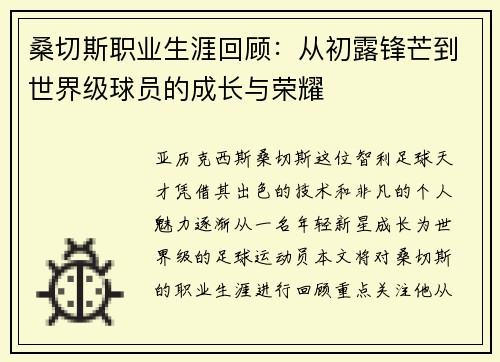 桑切斯职业生涯回顾：从初露锋芒到世界级球员的成长与荣耀